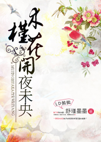 木槿花开夜未央TXT全集封面