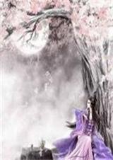 倾凤花漫天TXT全集封面