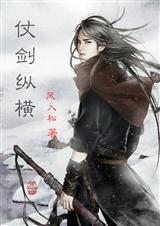 仗剑纵横TXT全集封面