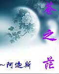 苍之茫TXT全集封面