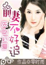 隐婚绯闻:冷情前妻跟我走(悲剧版)TXT全集封面