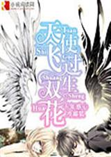 天使飞过双生花TXT全集封面