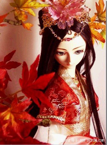 打造传媒女王_完整!(现代本体重生!)TXT全集封面