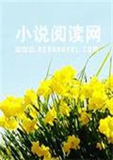 低头吧老师TXT全集封面