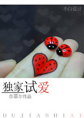 独家试爱TXT全集封面