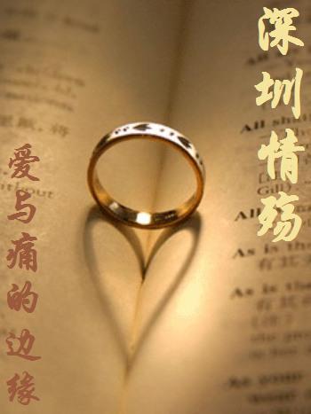 深圳情殇:爱与痛的边缘TXT全集封面