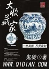 大收藏家TXT全集封面
