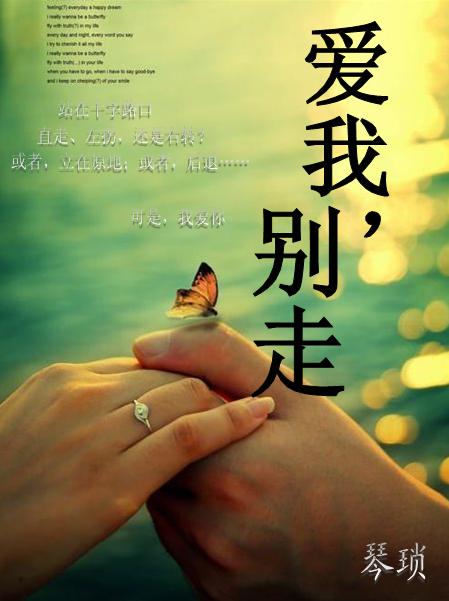爱我,别走TXT全集封面