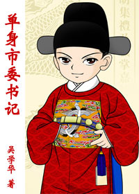 单身市委书记TXT全集封面