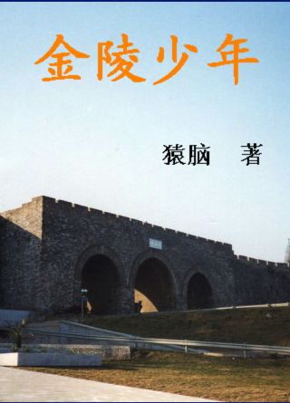 金陵少年TXT全集封面