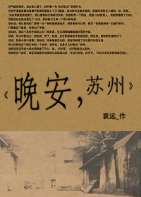 晚安,苏州TXT全集封面