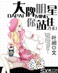 大牌明星请站住TXT全集封面