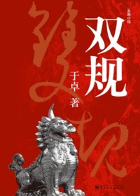 双规TXT全集封面
