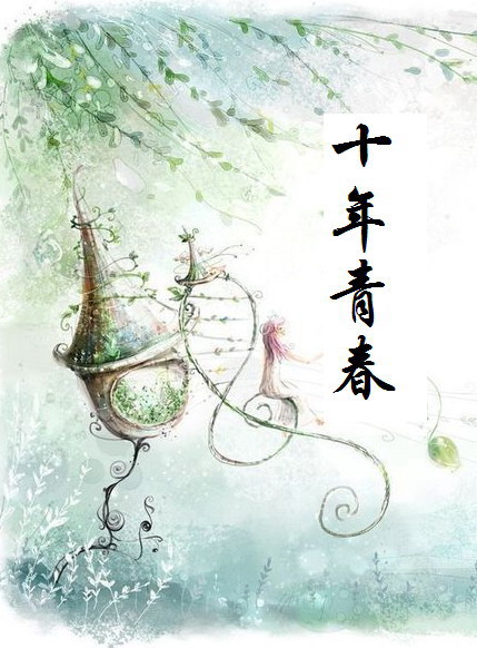 十年青春TXT全集封面
