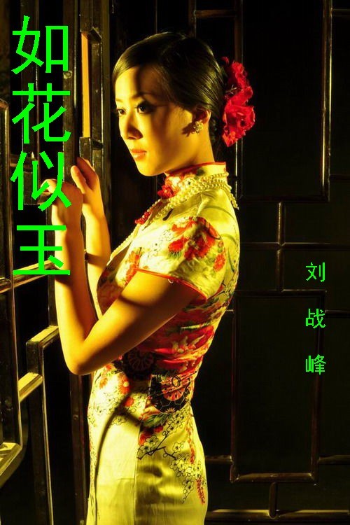 如花似玉TXT全集封面