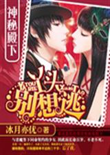 神秘殿下:丫头别想逃TXT全集封面