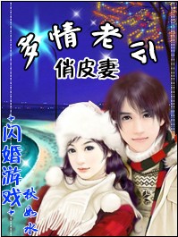 闪婚游戏:多情老公俏皮妻TXT全集封面