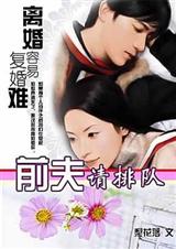 离婚容易复婚难前夫请排队(全)TXT全集封面