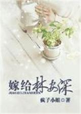嫁给林安深 疯子小姐TXT全集封面