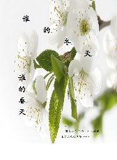 谁的冬天、谁的春天TXT全集封面
