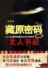 藏原密码TXT全集封面
