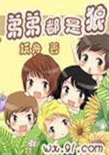 弟弟都是狼TXT全集封面
