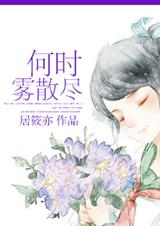 何时雾散尽TXT全集封面