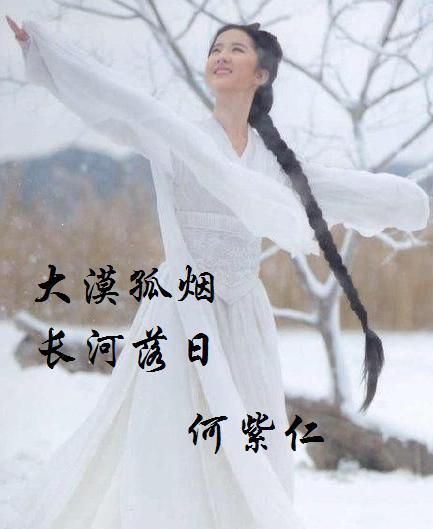 大漠孤烟 长河落日TXT全集封面