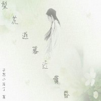 梨花逝落近黄昏TXT全集封面