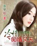 冷情总裁痴情丈夫TXT全集封面