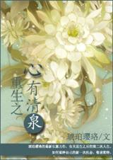 重生之心有清泉TXT全集封面