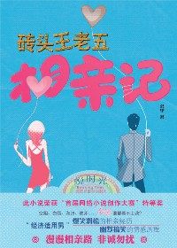 砖头王老五相亲记TXT全集封面