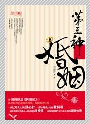 第三种婚姻TXT全集封面