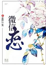 微信恋:贩卖快乐TXT全集封面