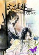 神雕之文过是非 未知 BLTXT全集封面