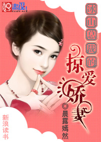 神秘恋人:冰山总裁的掠爱娇妻(全本)TXT全集封面