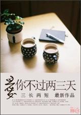 爱你不过两三天TXT全集封面