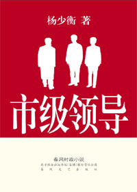 市级领导TXT全集封面