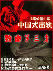 中国式出轨:致命第三者TXT全集封面