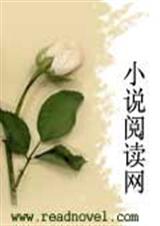 傲娇殿下天然疯TXT全集封面