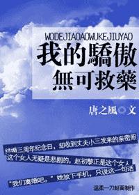 我的骄傲无可救药TXT全集封面