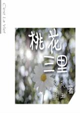 桃花三里TXT全集封面