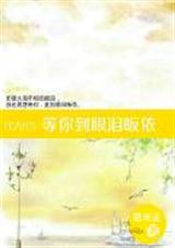 等你到眼泪皈依TXT全集封面