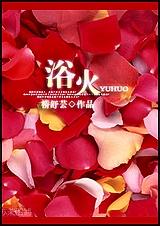 浴火TXT全集封面