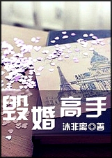 毁婚高手TXT全集封面