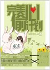 完美偷心计划TXT全集封面