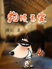 狗眼看家TXT全集封面