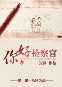 你好,检察官(VIP完结)TXT全集封面