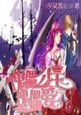 傀儡公主傀儡爱TXT全集封面