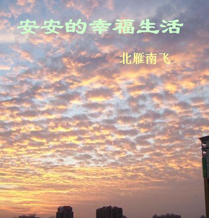 安安的幸福生活TXT全集封面